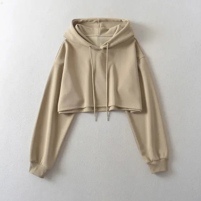 Women's 2023 Autumn Drawstring Hooded Pullover Sweater
